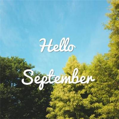 kaiyun体育全站手机app下载