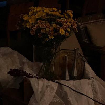 kok官方体育app下载